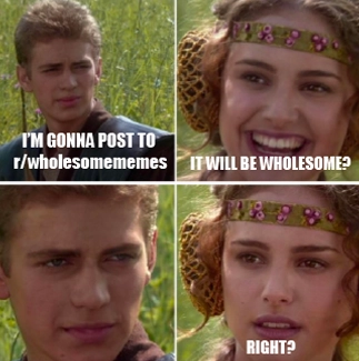Anakin and Padme 4 panel meme. Anakin: I'm gonna post to r/wholesomememes. Padme: It will be wholesome?. Anakin (with a straight face): ...  Padme: Right?