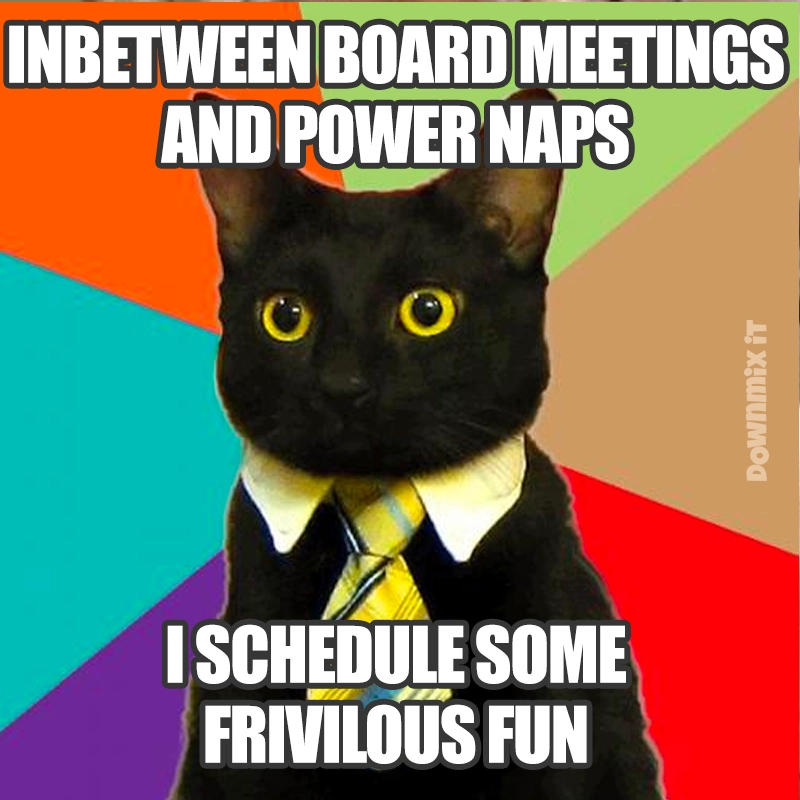 Business Cat meme, with the caption: Inbetween board meetings and power naps... I schedule some frivolous fun